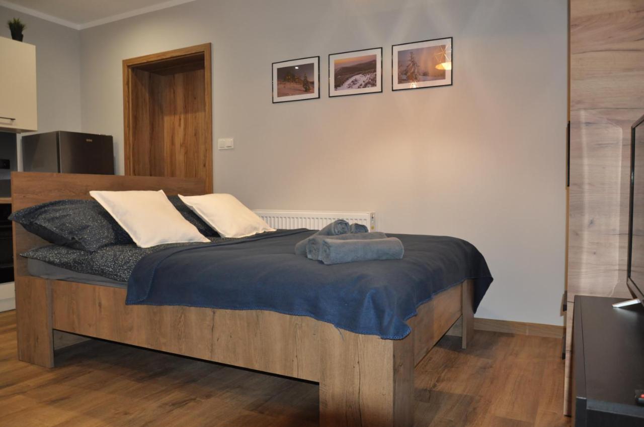 Apartamenty Sudety Bystrzyca Klodzka Exterior photo